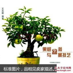 果树盆栽技术大全书电子版,盆栽果树栽培管理技术
